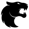 FURIA Esports