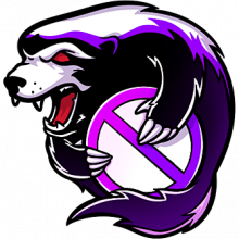 Outsiders (Virtus.pro)