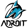 Team Adroit